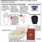 Laicatul roman adreseaza prin intermediul Grupului Areopag o Scrisoare Deschisa catre Sfantul Sinod in scandalul Cipurilor Biometrice 666