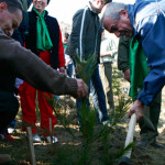 LA CE SUNT BUNI TATULICII SI BUCURENCII. Societatea Civila VINTU SRL. Realitatea TV si Monkey Channel fac 1.000.000 de euro prin Sorin Freciu in campania "ecologistica" "Mai Mult Verde"