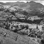 Dinu Lazar: Fotografii din anii ’70. Romania