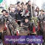 Scrisoare deschisa. Dan Tanasa catre Politia si Jandarmeria Harghita: “Va felicit! Pentru prima data, pe teritoriul Romaniei, ati autorizat o manifestare de sarbatorire a ocuparii Transilvaniei de catre trupele horthyste”