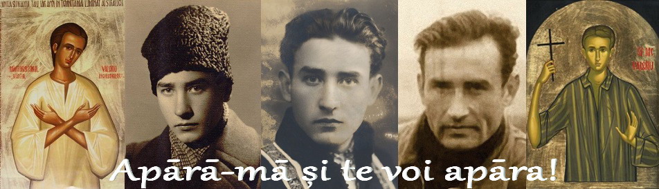Banner In Apararea lui Valeriu Gafencu