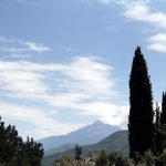 La Sfântul Munte Athos: Moşii de vară la osuarul de la Prodromu şi mormântul Părintelui Petroniu Tănase cât şi frumoasa grădină a Părintelui Pahomie de la Schitul Serghie. FOTO/VIDEO