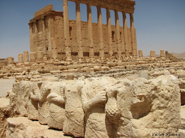 In Palmyra - Syria - Foto Victor Roncea 011